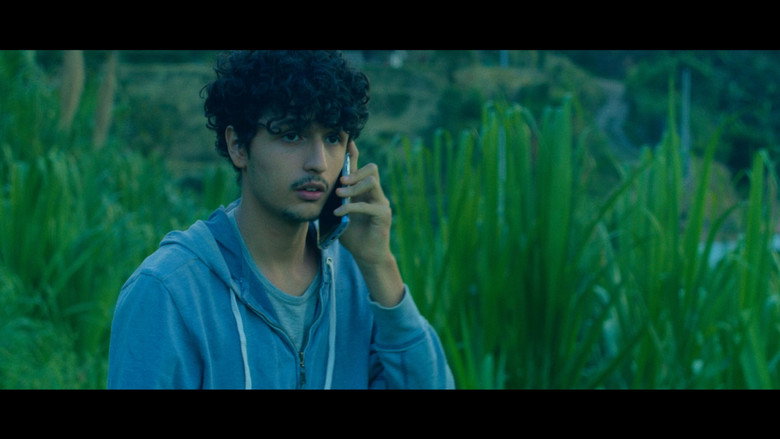 Las estrellas son de colores still 3
