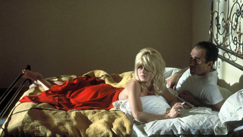 Contempt still 2