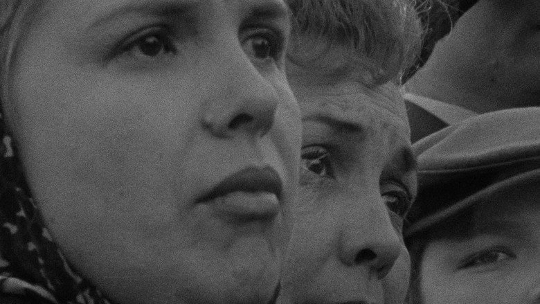 Faces of November still 2