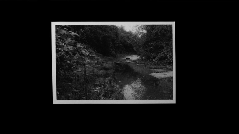 Grantham Overgrown (Infinite Regression) still 3