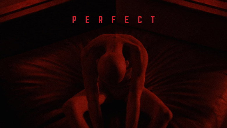 Perfect still 5
