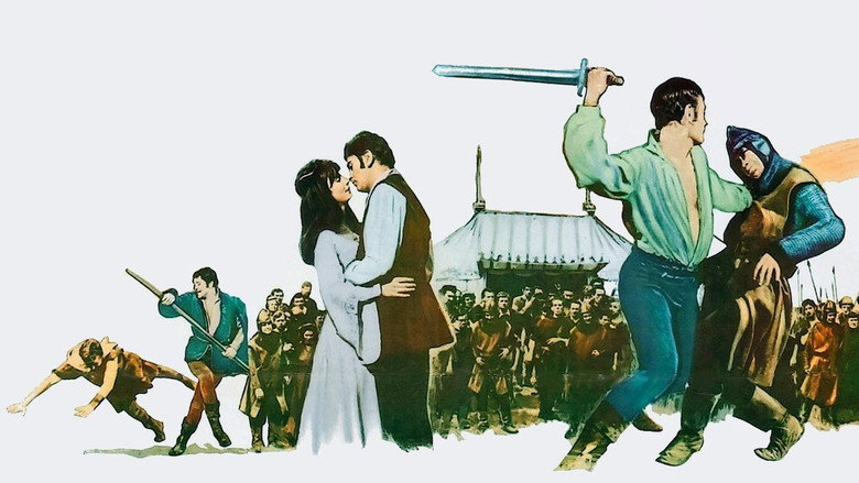 A Challenge for Robin Hood still 3
