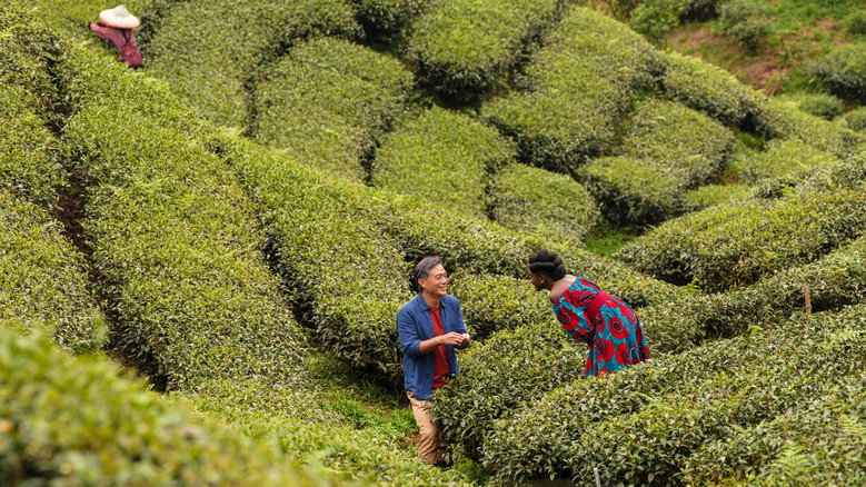 Black Tea still 8