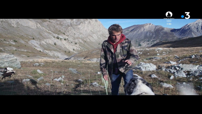 A Shepherd still 2
