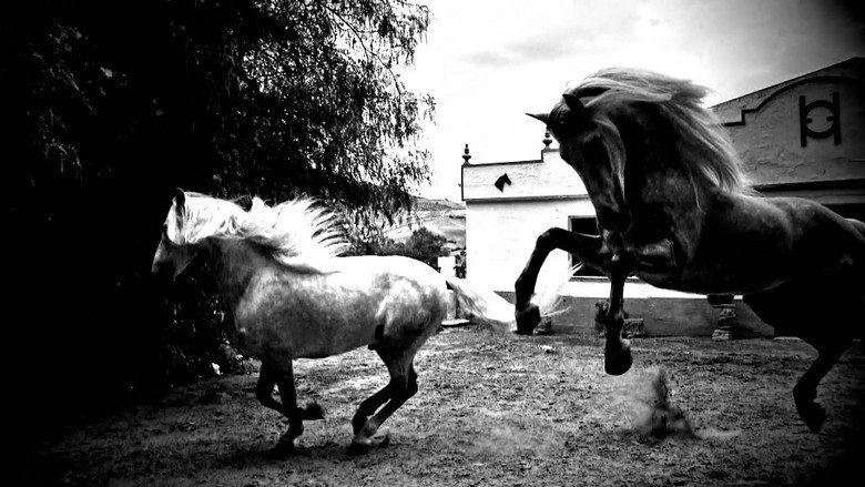 Horse of Kings, Thief of Hearts still 2