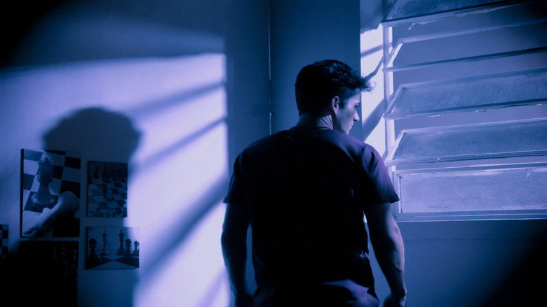 HOMO HOMINI LUPUS still 4