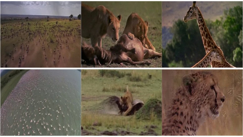 Africa: The Serengeti still 2