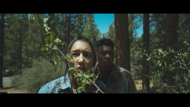 Echoes still 3