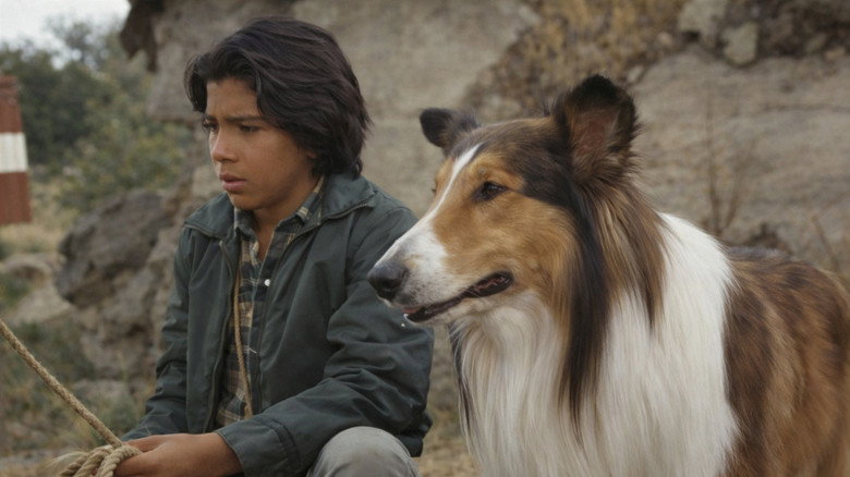 Lassie: The Adventures of Neeka still 1