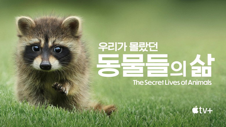 The Secret Lives of Animals still 8