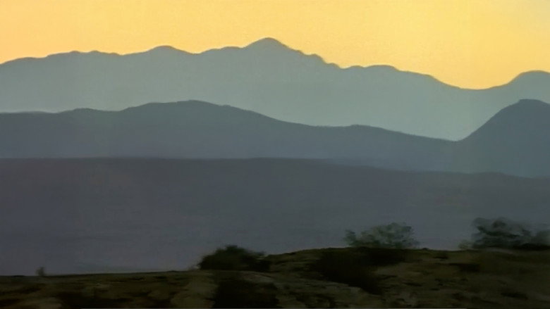 Dinosaurs Inside & Out still 1
