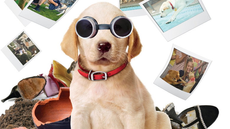 Marley & Me: The Puppy Years still 1