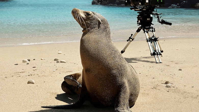 Guardians of the Galapagos still 1