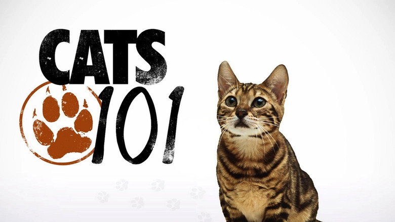 Cats 101 still 2