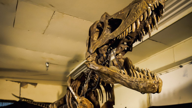 Dino Death Match still 2