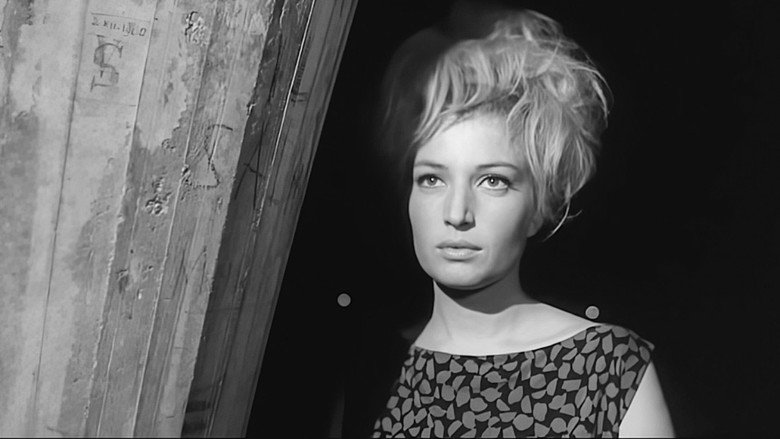 Monica Vitti, die Königin des italienischen Films still 4