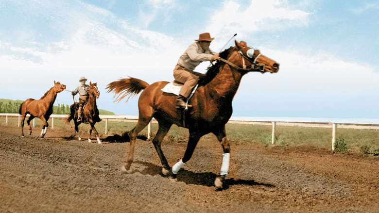 The Story of Seabiscuit still 4