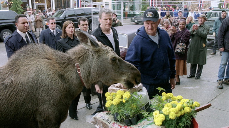 Welcome to Mooseport still 8