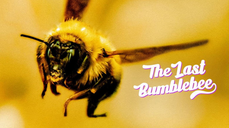 The Last Bumblebee still 2