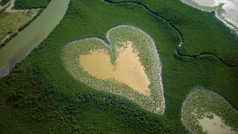 Nature: The Call for Reconciliation still 7