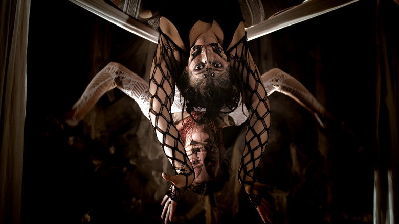 Arachne still 1