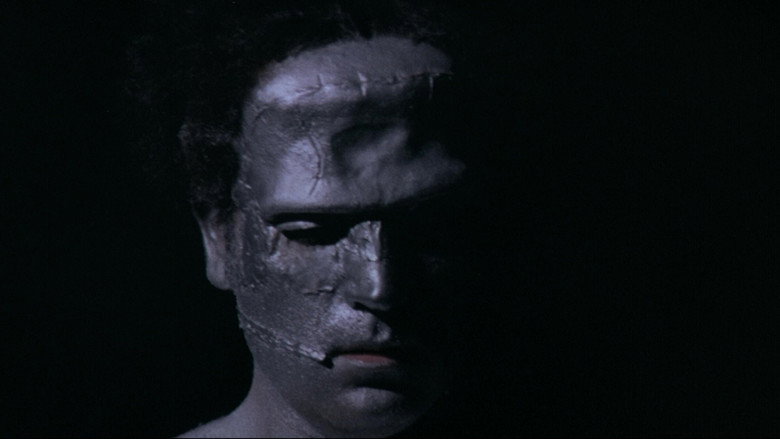The Erotic Rites of Frankenstein still 8