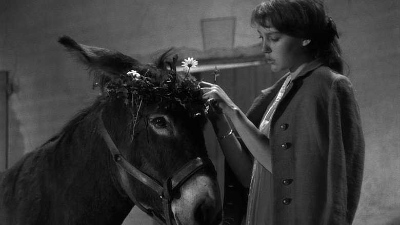 Au Hasard Balthazar still 1