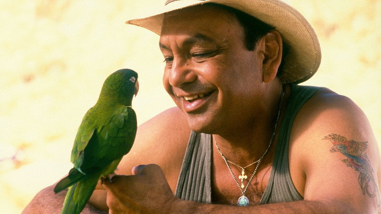 Paulie still 2