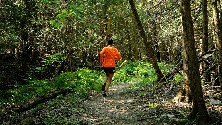 Caribou still 1