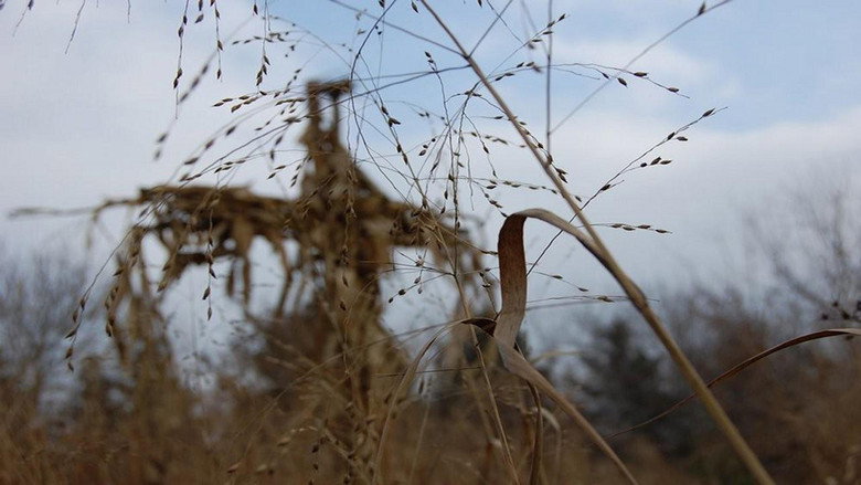 Children of the Corn IV: The Gathering still 3
