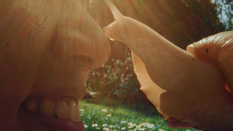 My Pet and Me still 3