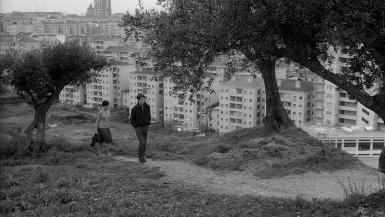 The Green Years still 3