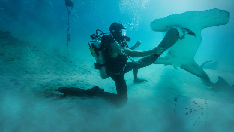 Man vs. Shark still 3