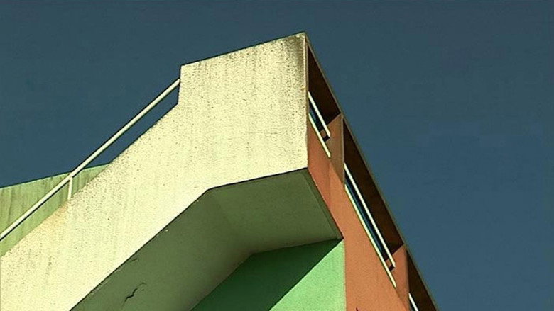 Pessac - Living in a Laboratory still 1