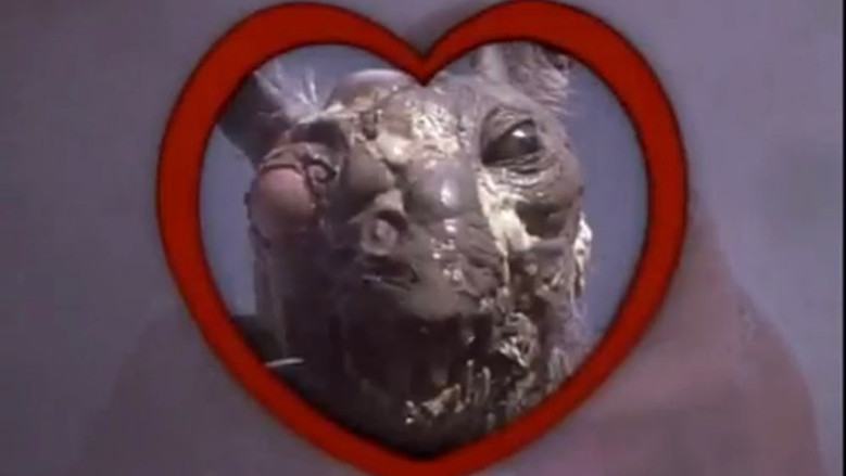 Class of Nuke 'Em High 2: Subhumanoid Meltdown still 5