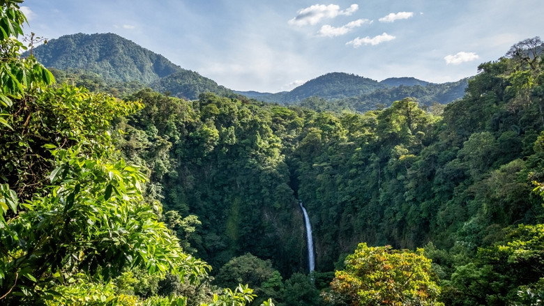 Living Landscapes: Costa Rica still 1