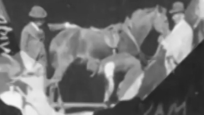 Horse Shoeing still 1