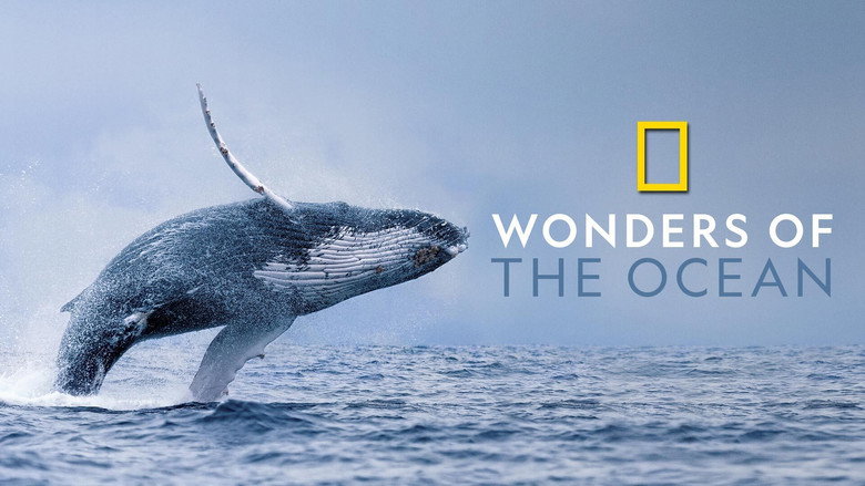 Wonders of the Ocean still 1