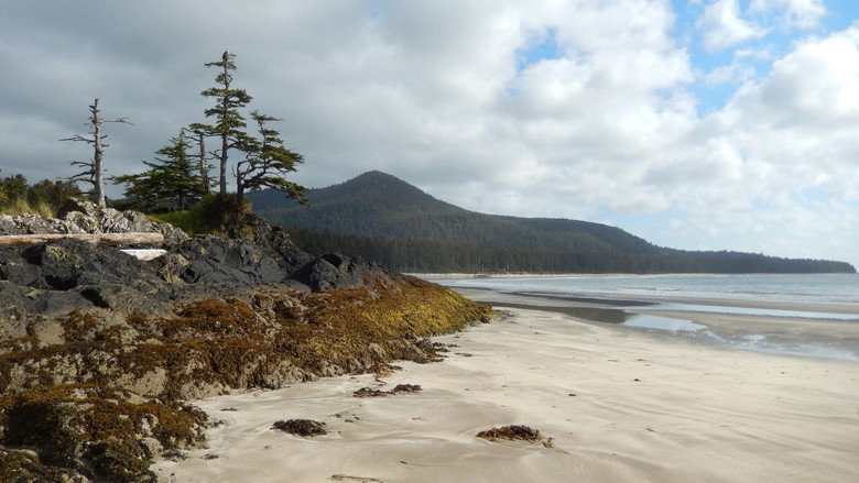 Haida Gwaii: On the Edge of the World still 1