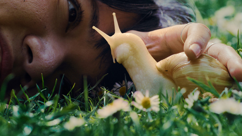 My Pet and Me still 1