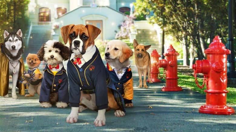 Pup Academy still 6
