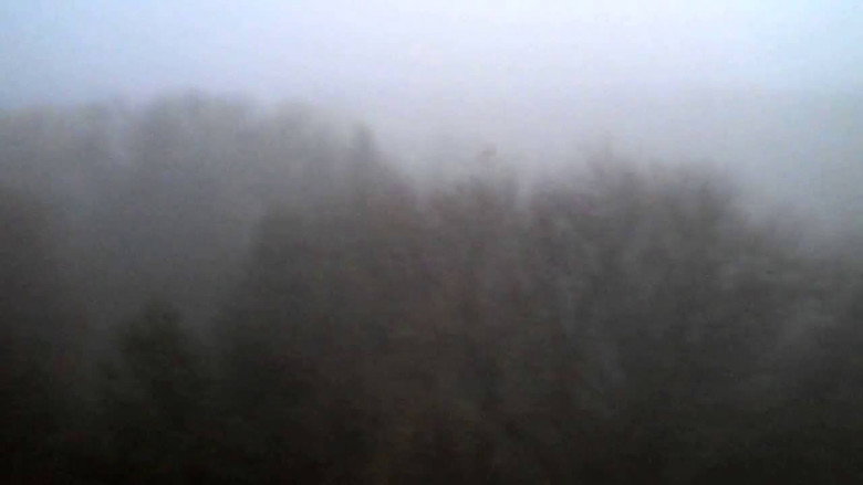 The Land Above The Trees still 1