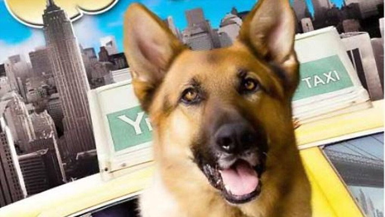 Cool Dog still 4