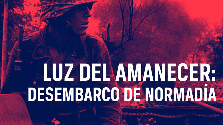 The Light of Dawn: The Normandy Landings still 4