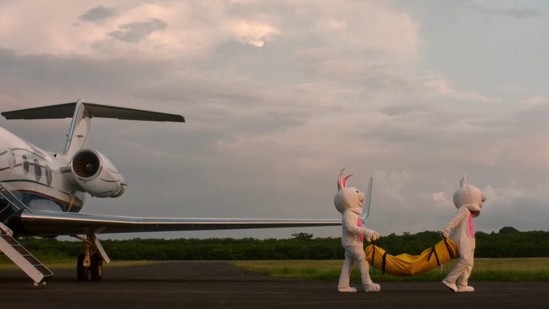 Animals still 6