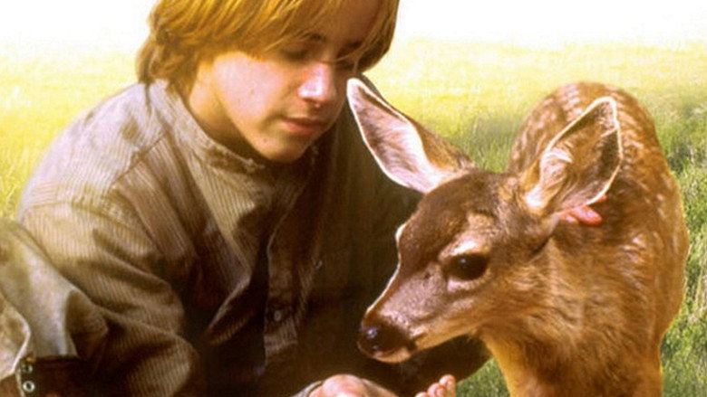 The Yearling still 1