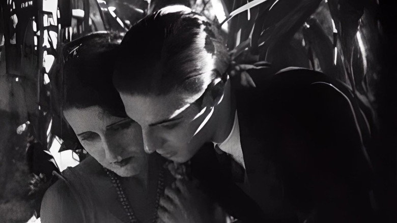 Belezas Brasileiras still 1