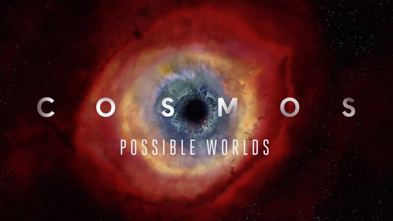 Cosmos still 8