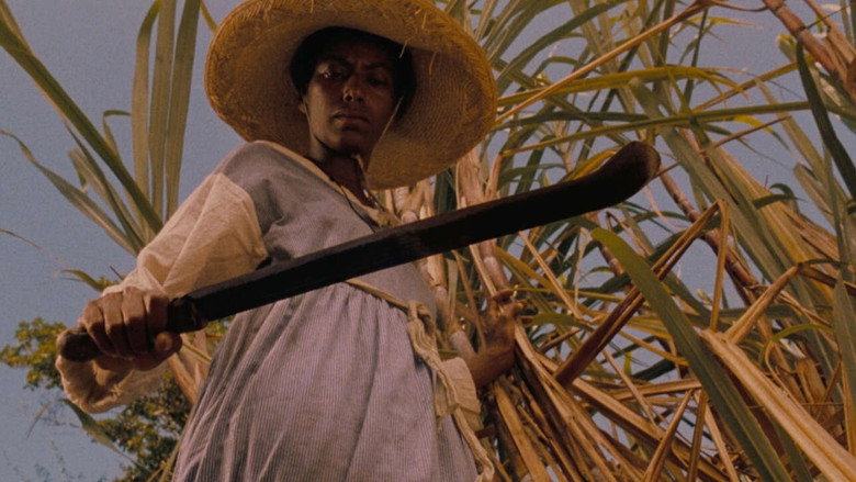 Sankofa still 1