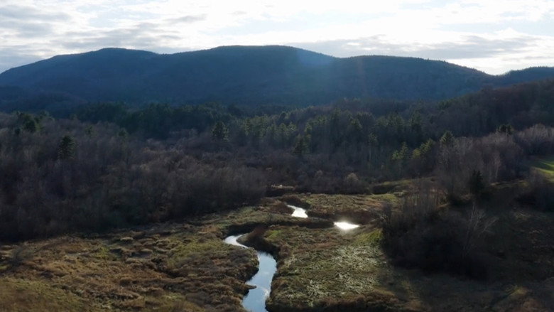 The King and Beers - A Gravel Epic in Vermont still 4